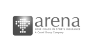 Arena nv